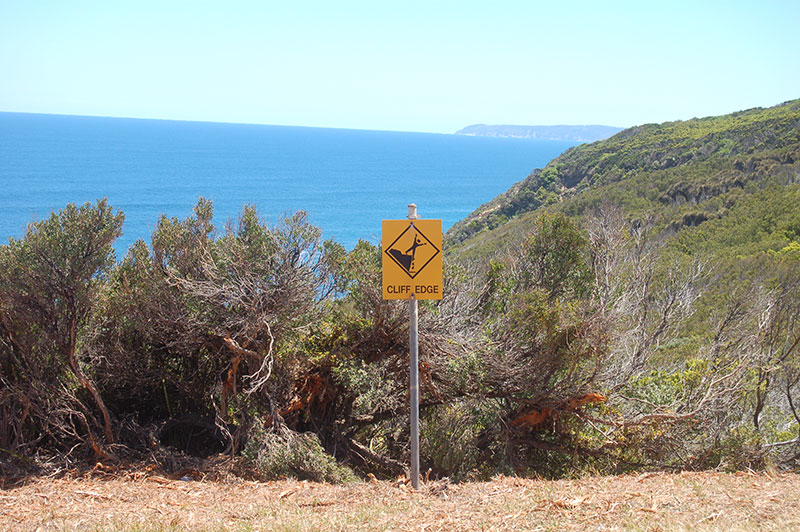 Along the Great Ocean Walk