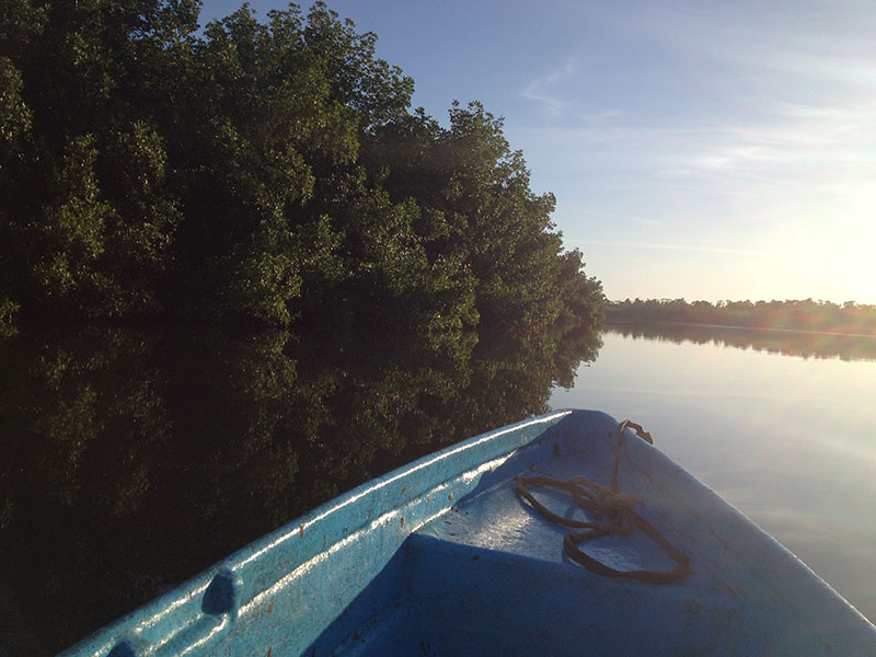 Close to Mandina River Lodge