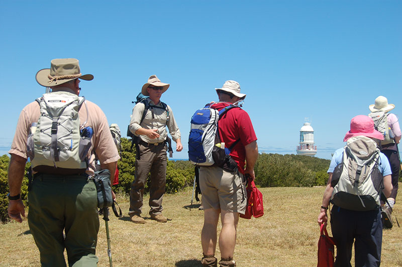 Great Ocean Walkers