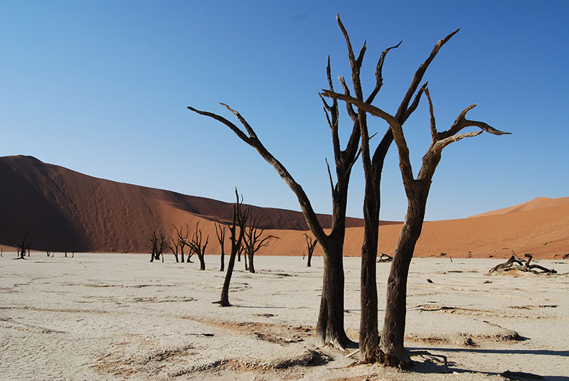 Namib Naukluft National Park