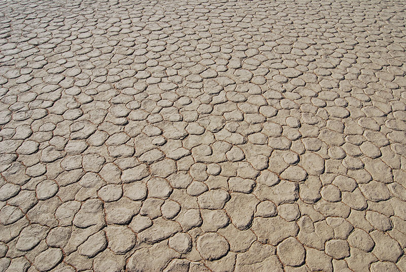 Parched landscape