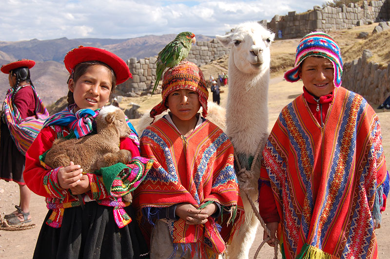 Spot the llama in Cuzco