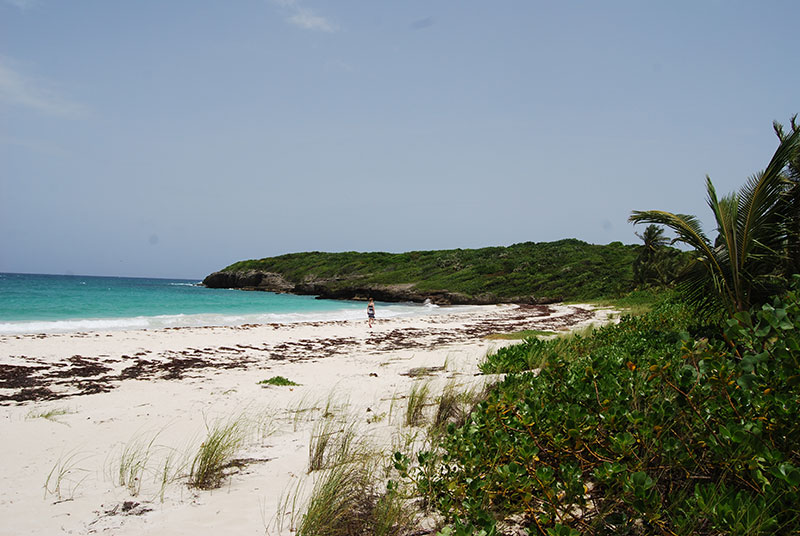 The beach at Playa Navio