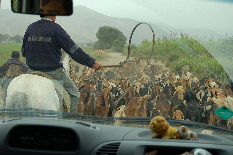 Traffic jam near Lima