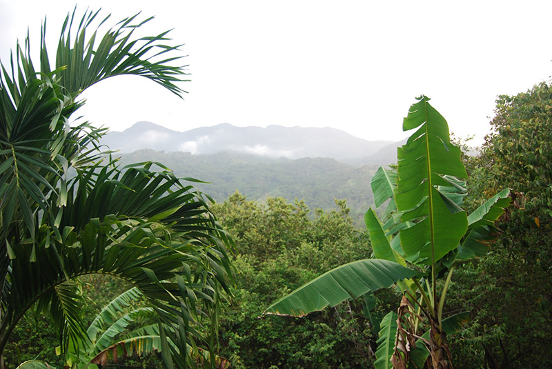 View from a San-Rafael lodge