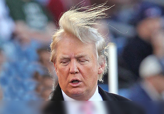 trump-hair