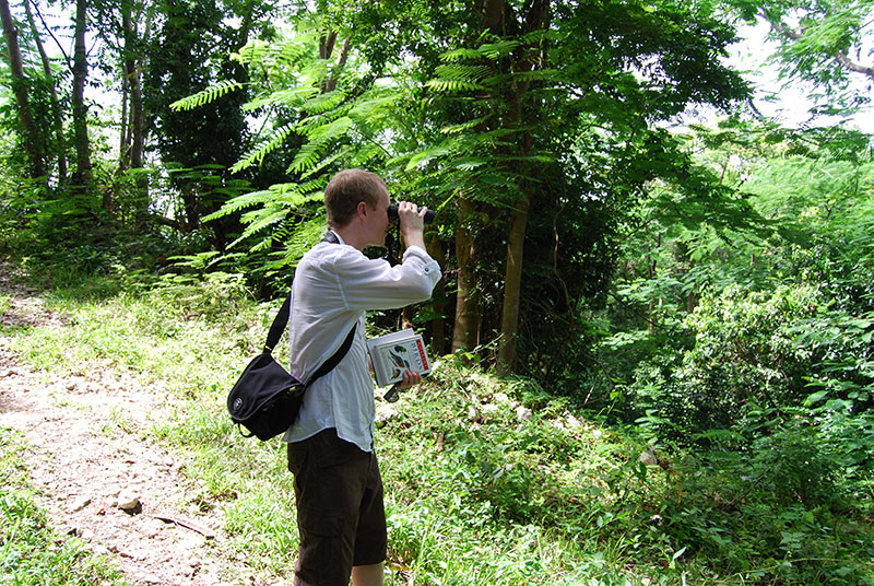 Birdwatching with Bond's book