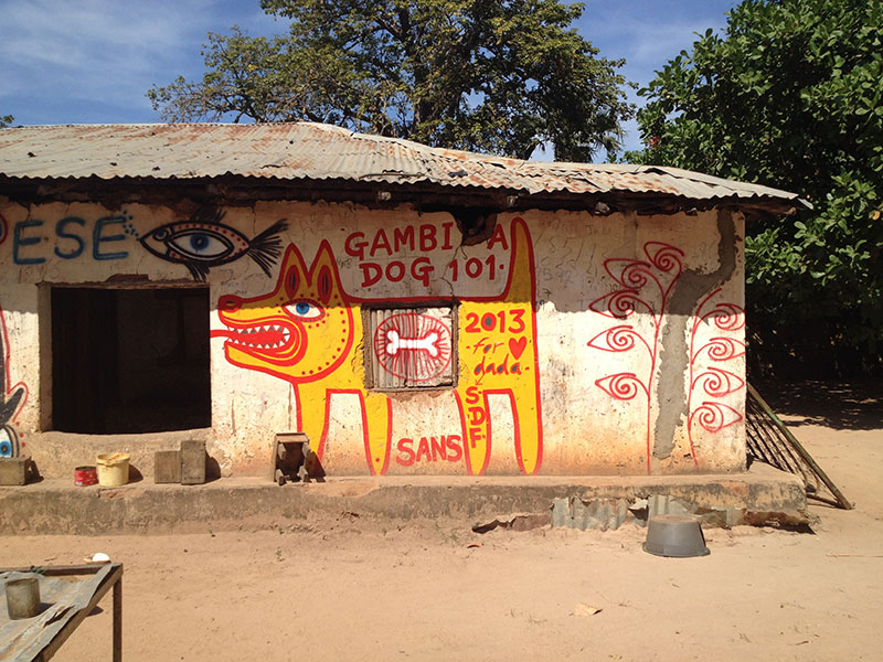 The Gambia dog in Kubuneh