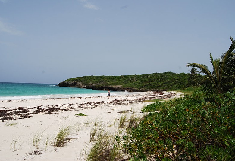 The beach at Playa Navio