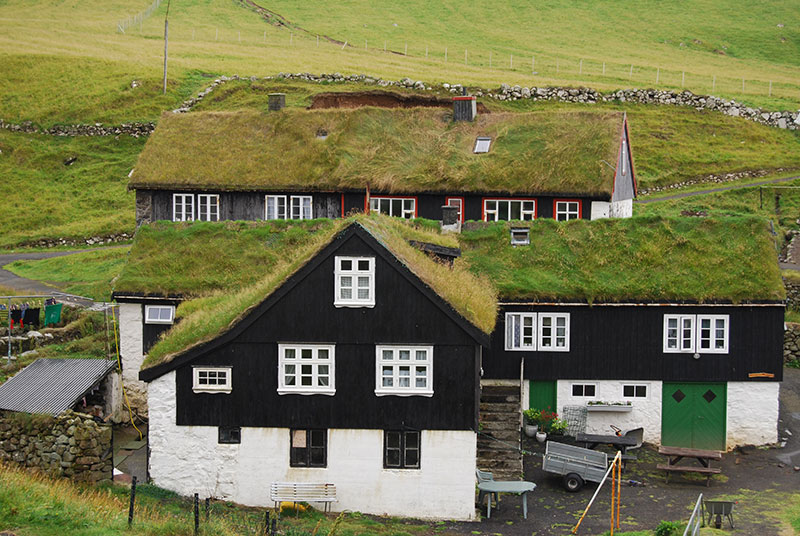 Typical grass-roofed houses