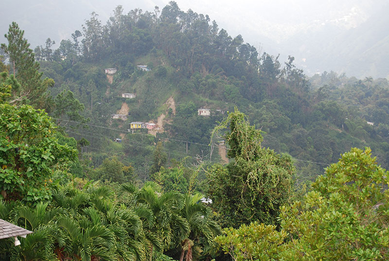 View from Strawberry Hill