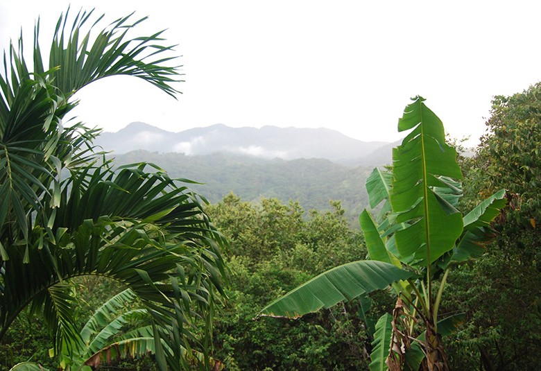 View from a San-Rafael lodge