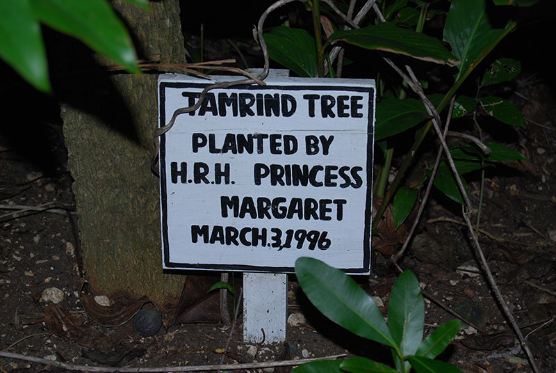 Within the grounds of Goldeneye