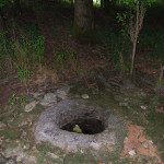 Lyd's Well