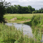 River near Ashton Keynes