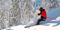 Lap up some Arctic skiing