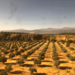 View from train between Almeria and Granada