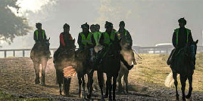 Newmarket